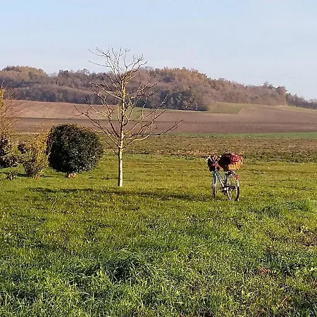 Feriehus Maison De Famille Saint-Jean-de-Sauves