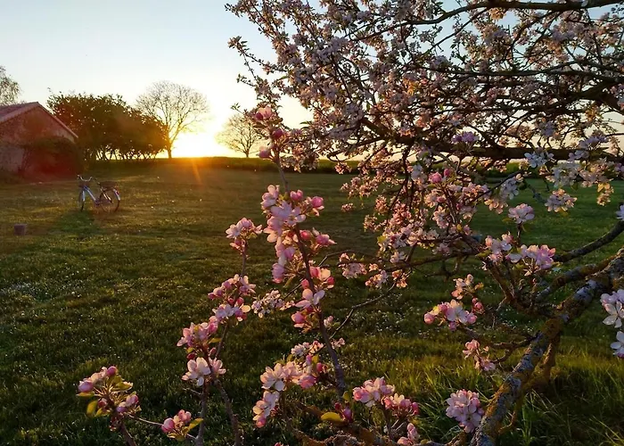 펜션 Maison De Famille *