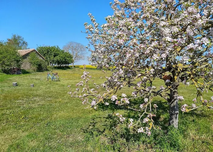 Maison De Famille 펜션 Saint-Jean-de-Sauves